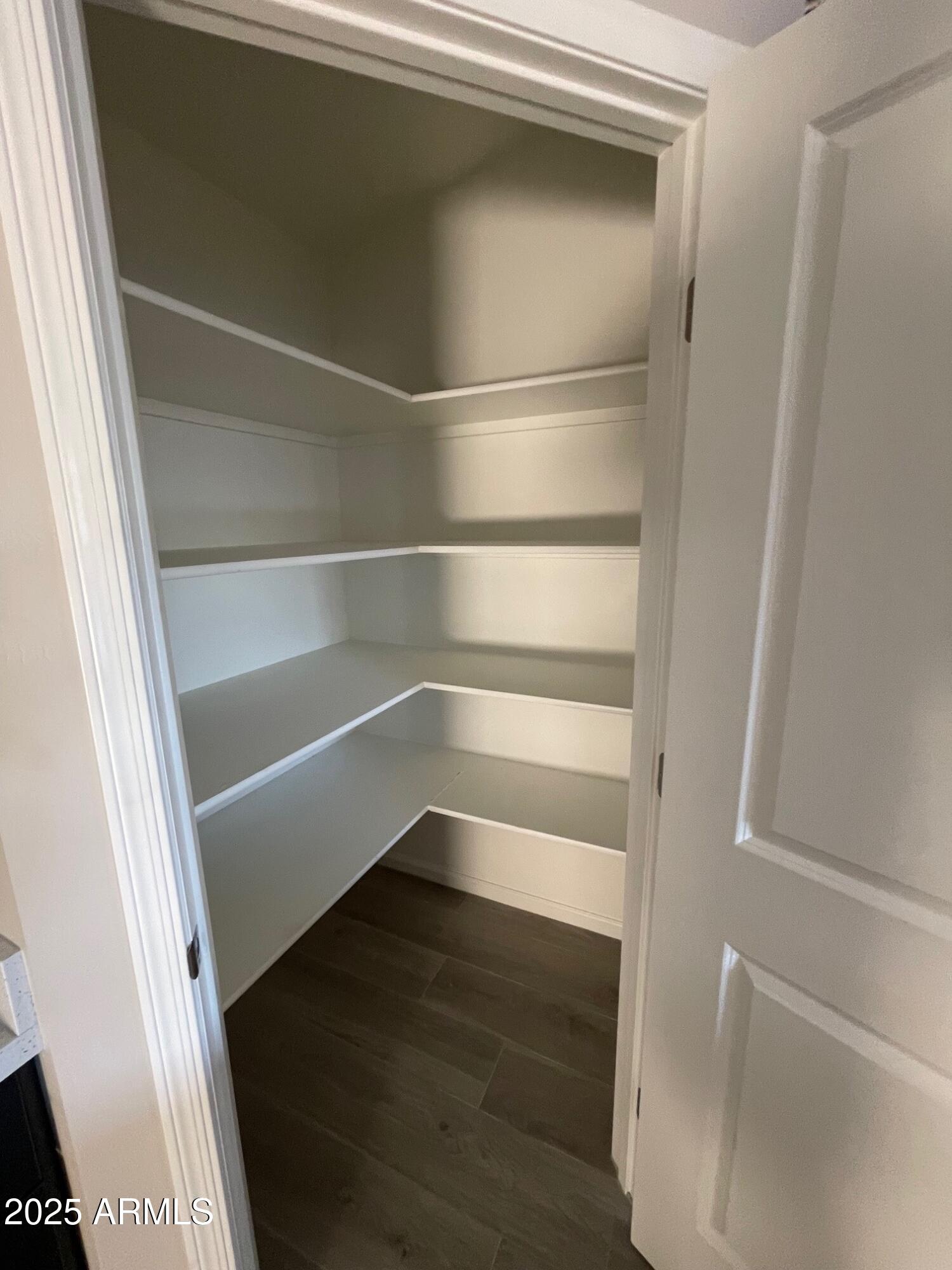 82 West Brooks Street Gilbert, AZ 85233 - Photo 5 of 23 a view of walk in closet with empty racks