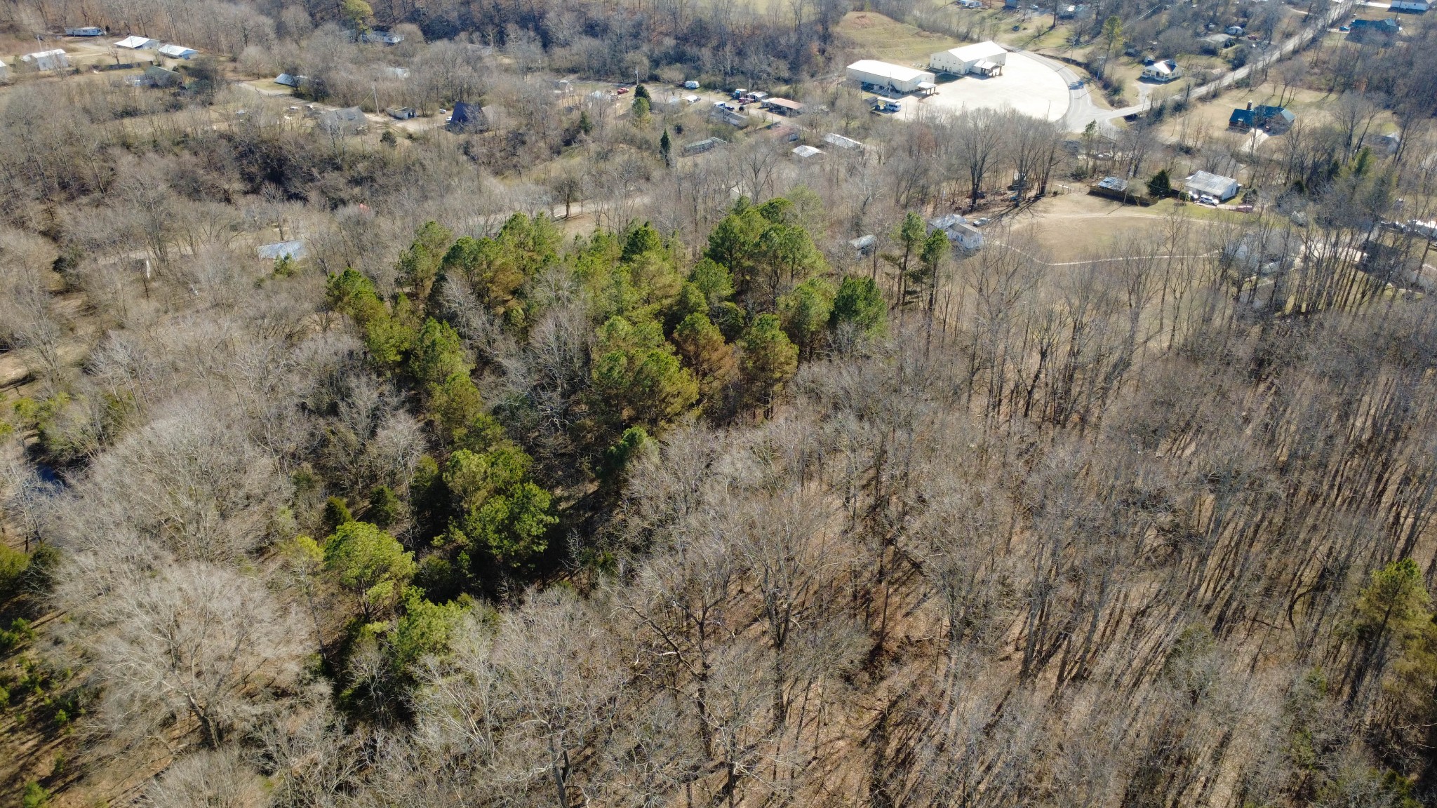 531 Big Rock Road Big Rock, TN 37023 - Photo 26 of 35 a view of a forest with a tree