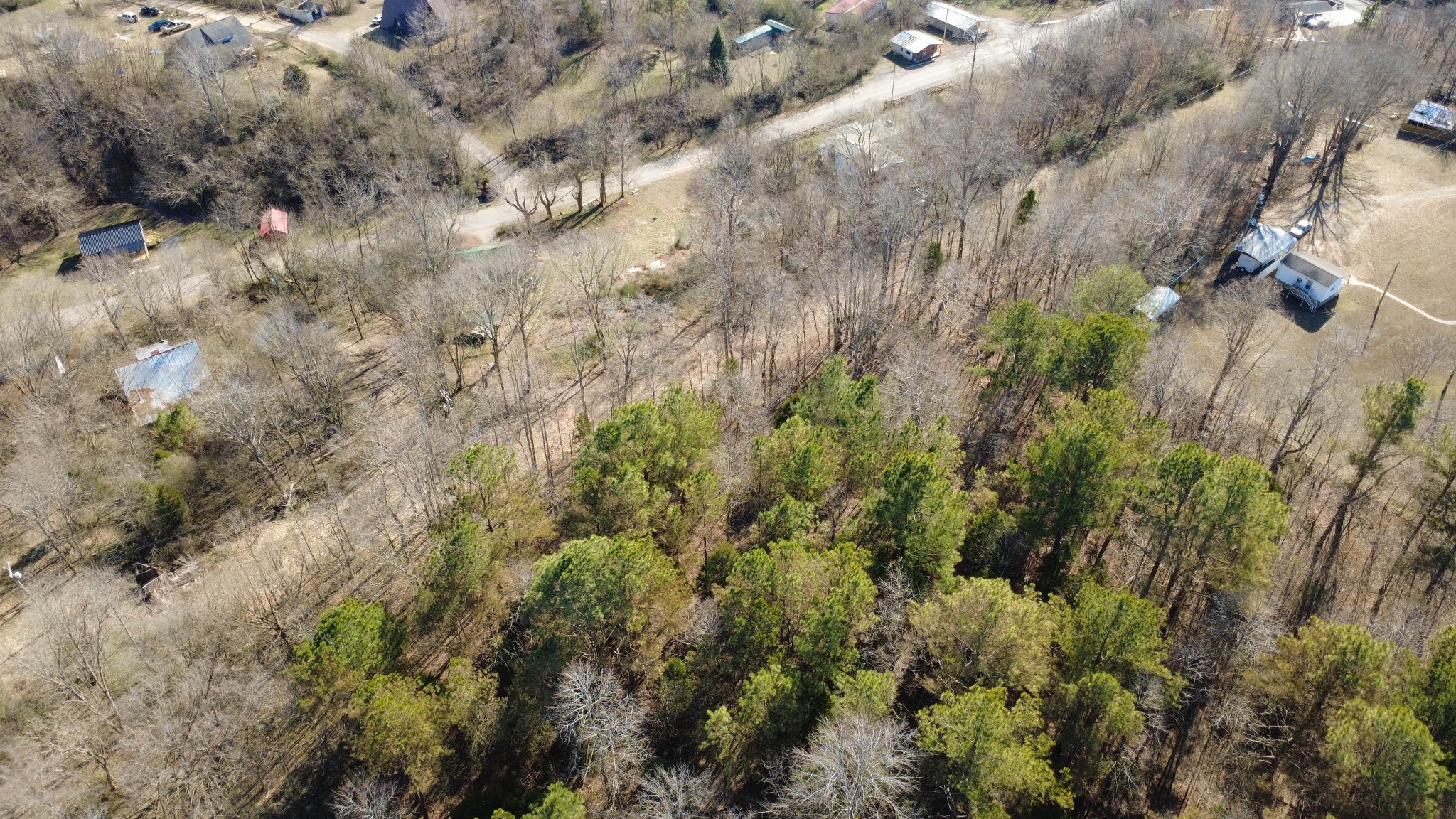 531 Big Rock Road Big Rock, TN 37023 - Photo 27 of 35 a view of a forest with a tree