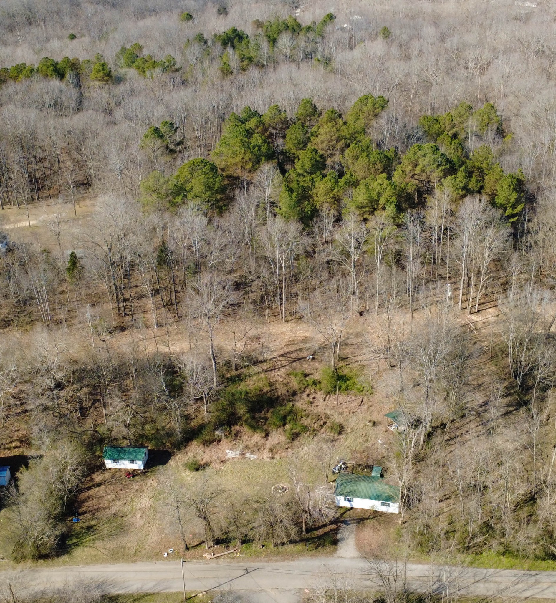 531 Big Rock Road Big Rock, TN 37023 - Photo 35 of 35 a view of a dry yard
