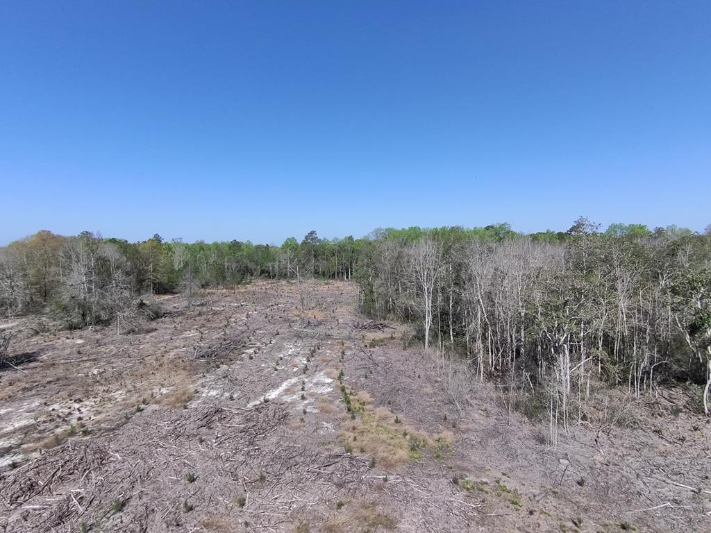 87 Highway 87 Samson, AL 36477 - Photo 12 of 47