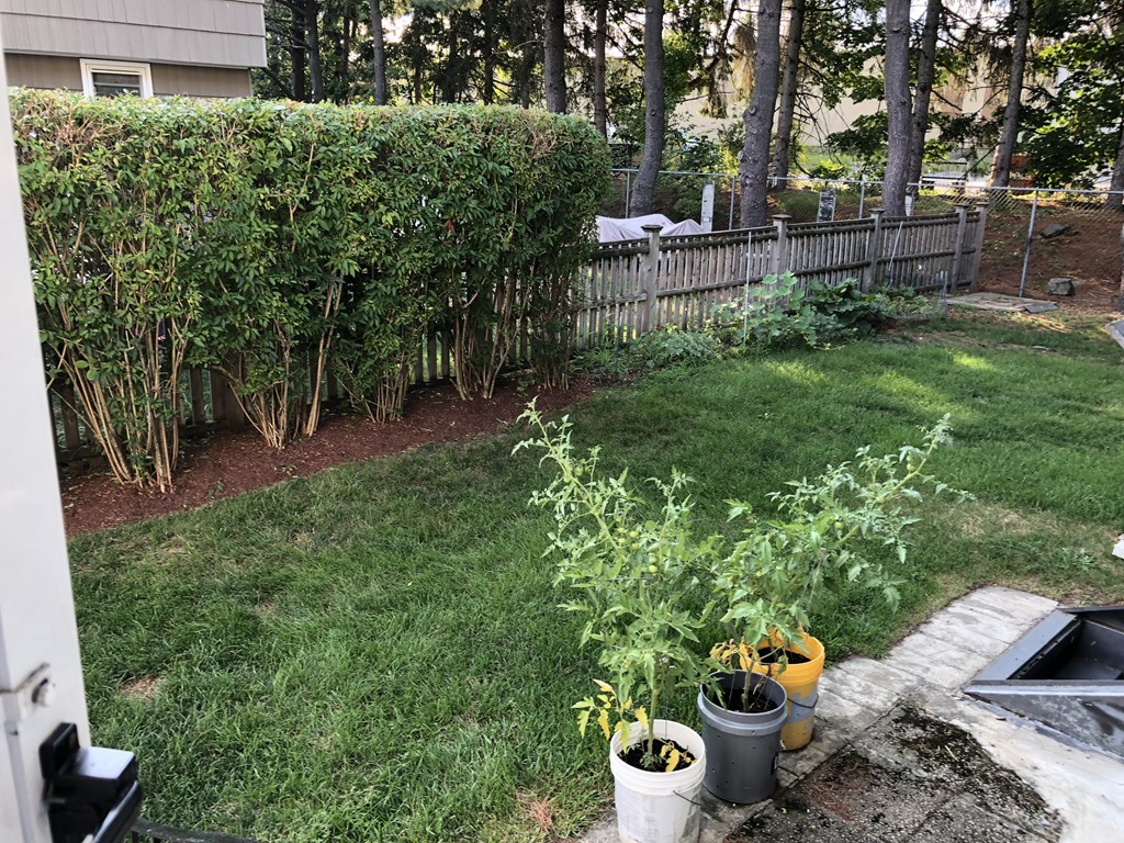 27 George Road, Unit 27 Winchester, MA 01890 - Photo 30 of 30 a view of a backyard with plants and chairs