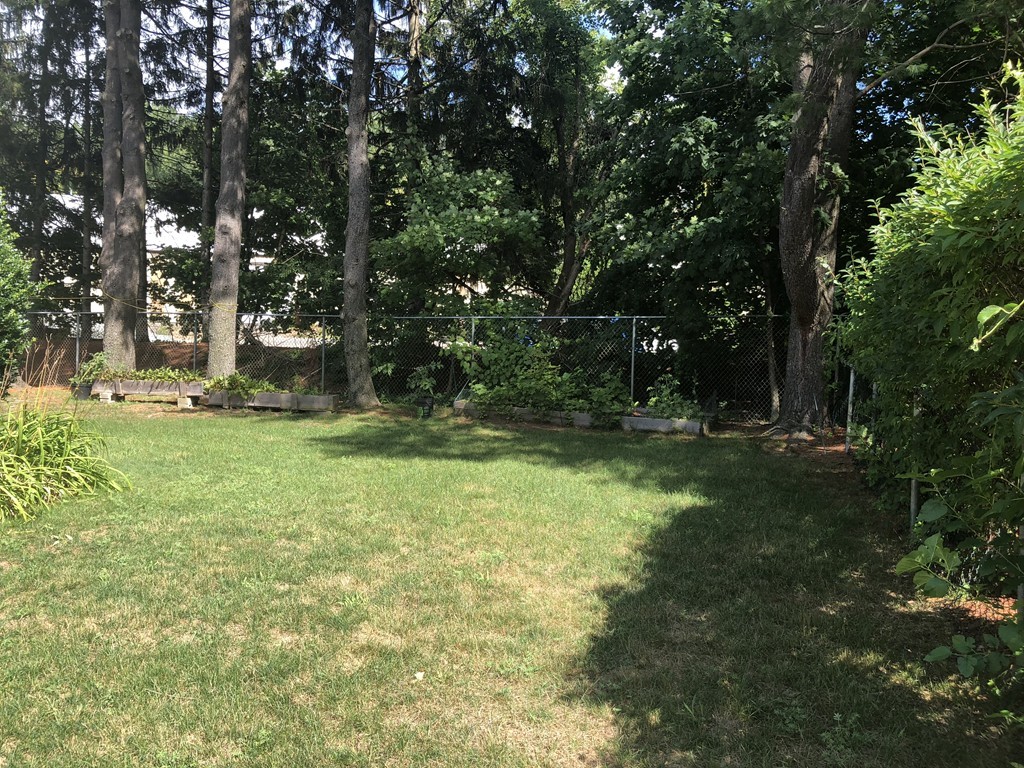 27 George Road, Unit 27 Winchester, MA 01890 - Photo 4 of 30 a backyard of a house with lots of green space