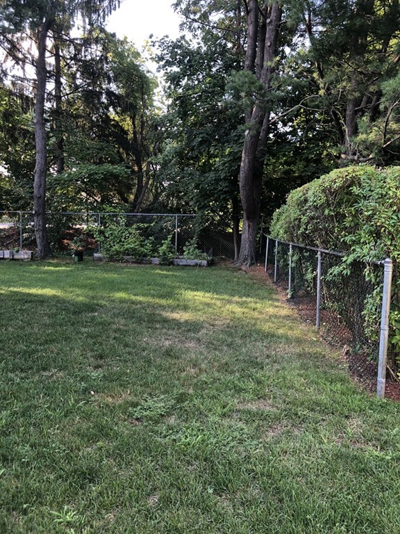 27 George Road, Unit 27 Winchester, MA 01890 - Photo 5 of 30 a view of a trees in a yard
