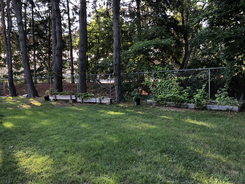 27 George Road, Unit 27 Winchester, MA 01890 - Photo 6 of 30 a view of a garden