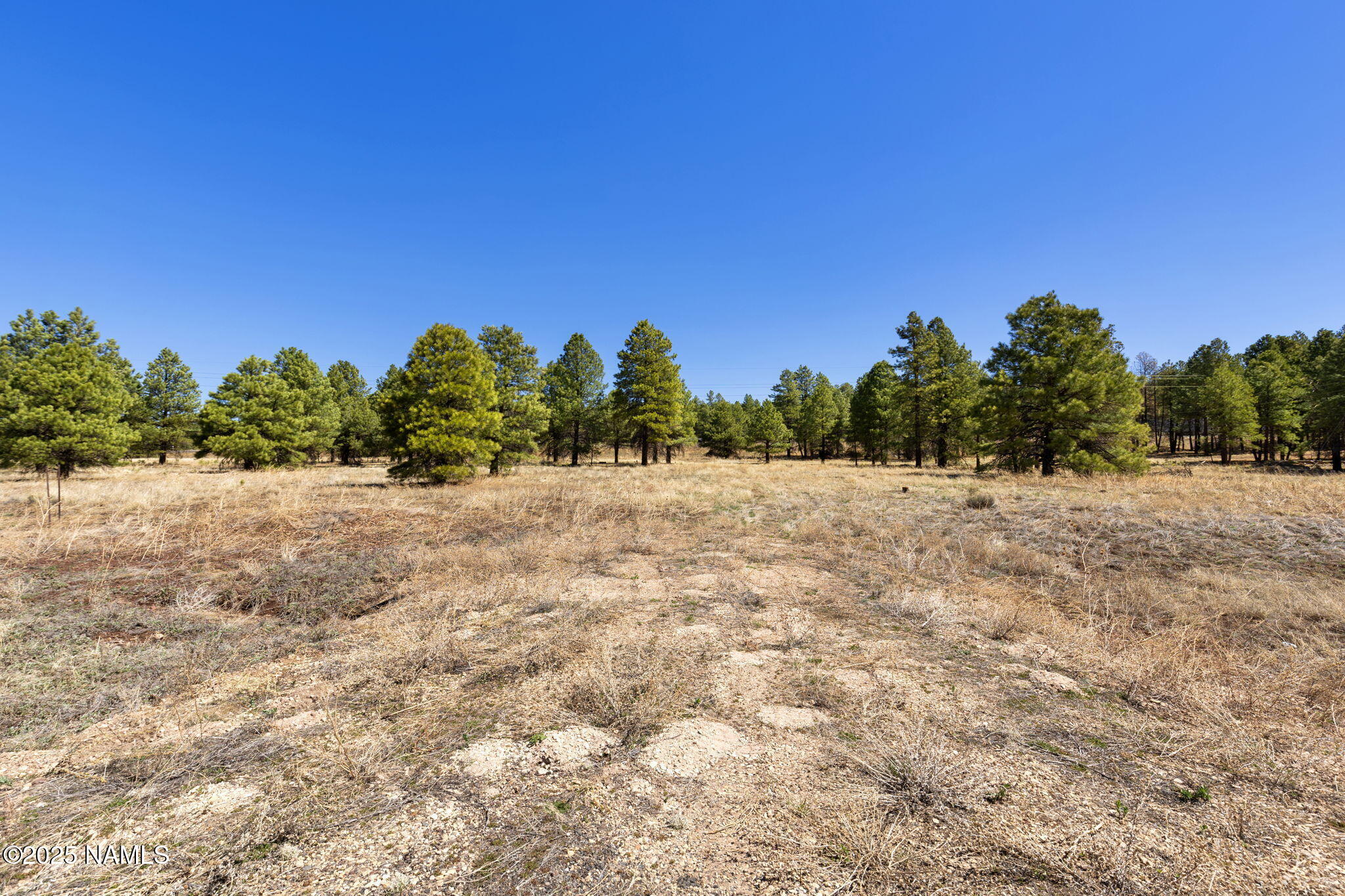 10800 West Rte 66 Flagstaff, AZ 86015 - Photo 10 of 11 9-web-or-mls-JC0A2914
