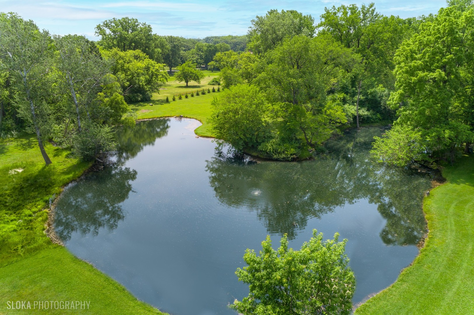 153 Algonquin Road Barrington Hills, IL 60010 - Photo 4 of 95