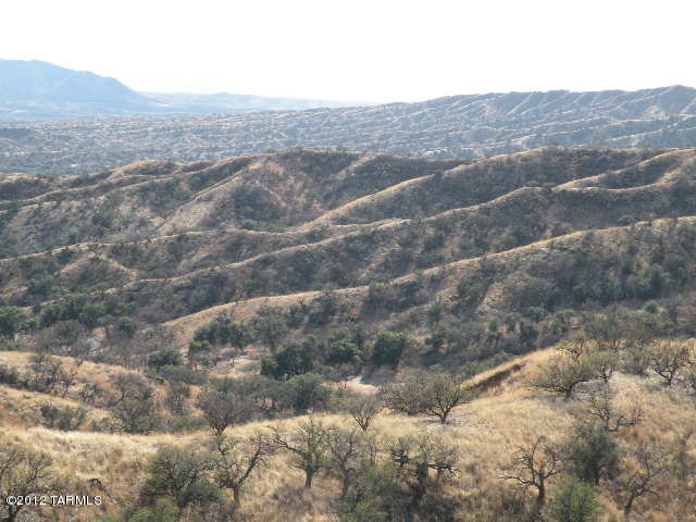 175 Wood Canyon Road Patagonia, AZ 85624 - Photo 42 of 47