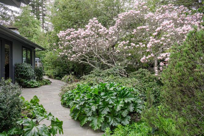 747 Bromfield Road Hillsborough, CA 94010 - Photo 74 of 76 a view of a garden with plants