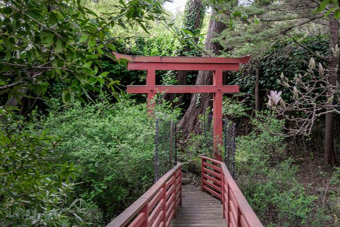 747 Bromfield Road Hillsborough, CA 94010 - Photo 75 of 76 a view of a backyard with plants