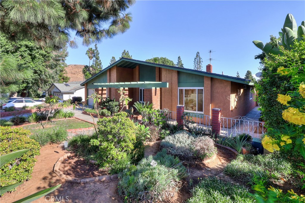 a front view of a house with a yard and potted plants