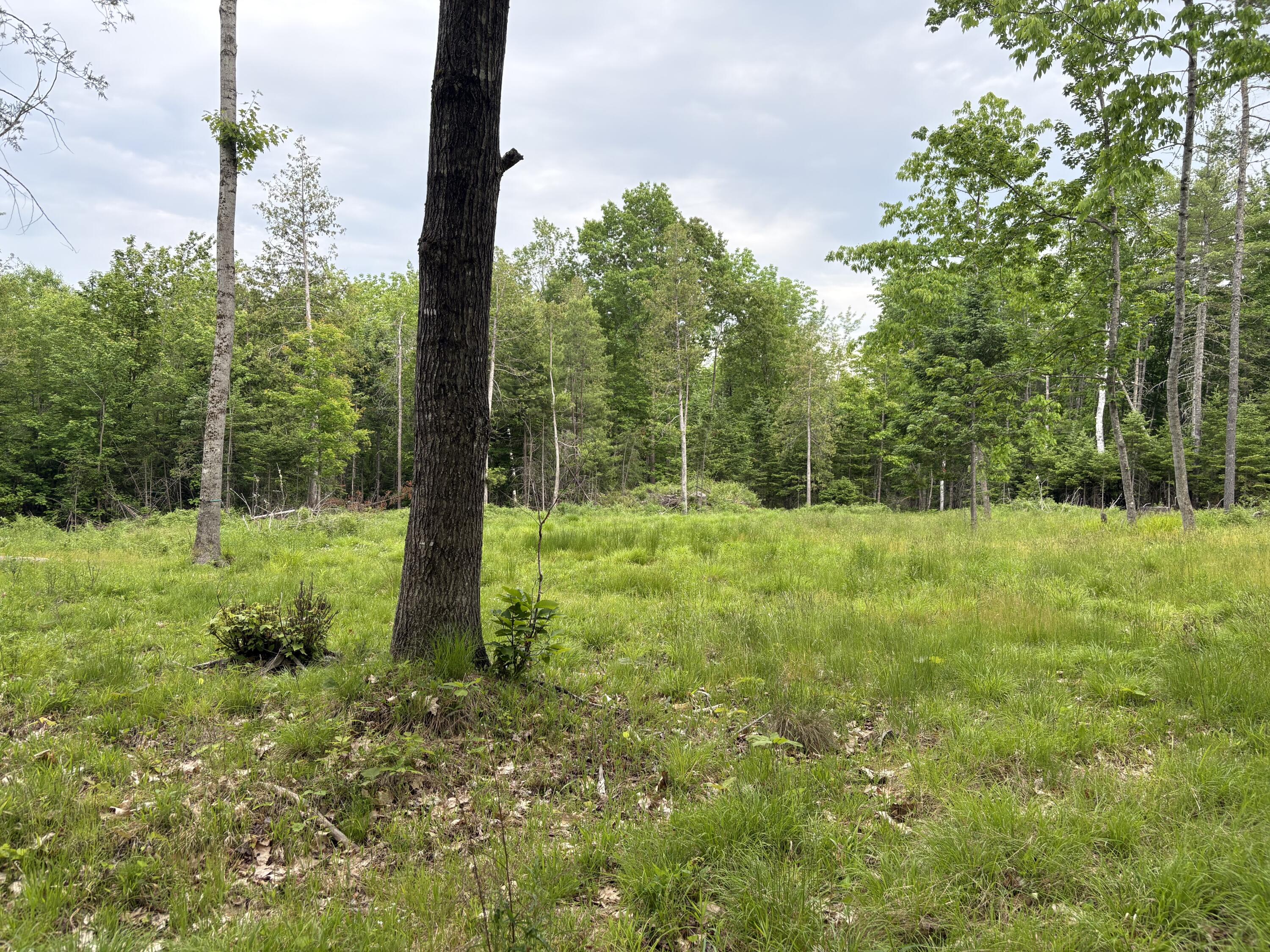 22 Back Parkman Road Abbot, ME 04406 - Photo 21 of 38