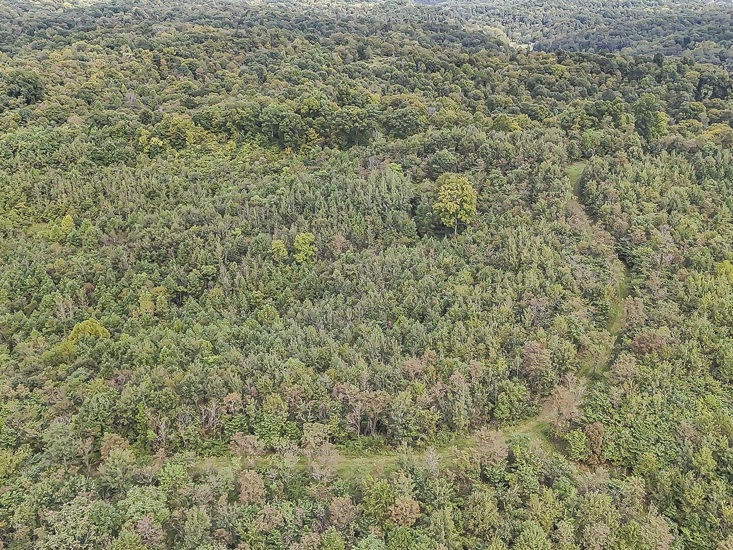 0 Cr E Road Pomeroy, OH 45769 - Photo 37 of 82 45-web-or-mls-DJI_20260918231323_0022_D