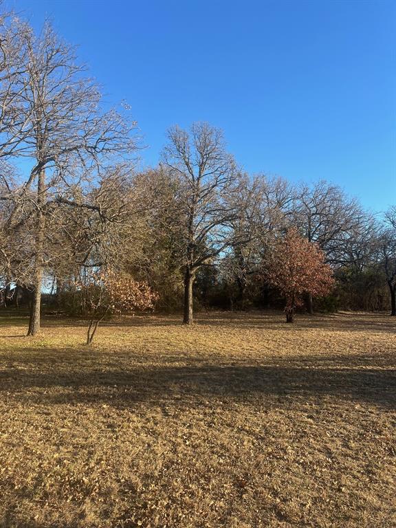 6901 Hawk Road Flower Mound, TX 75022 - Photo 14 of 24 a view of a yard
