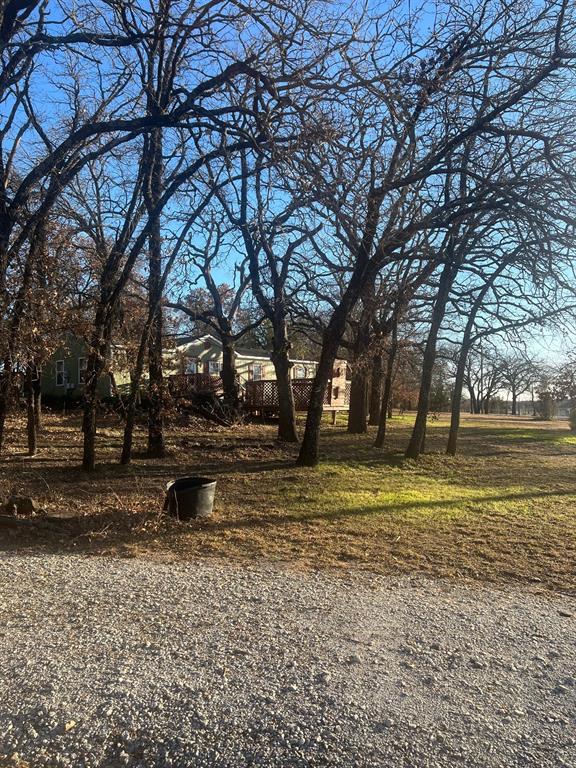 6901 Hawk Road Flower Mound, TX 75022 - Photo 21 of 24 a view of a yard with a large tree