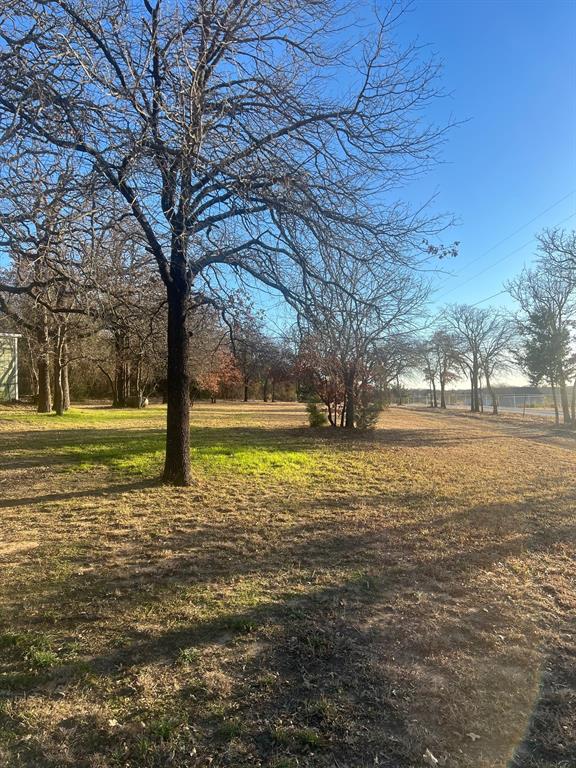 6901 Hawk Road Flower Mound, TX 75022 - Photo 23 of 24 a view of yard with tree