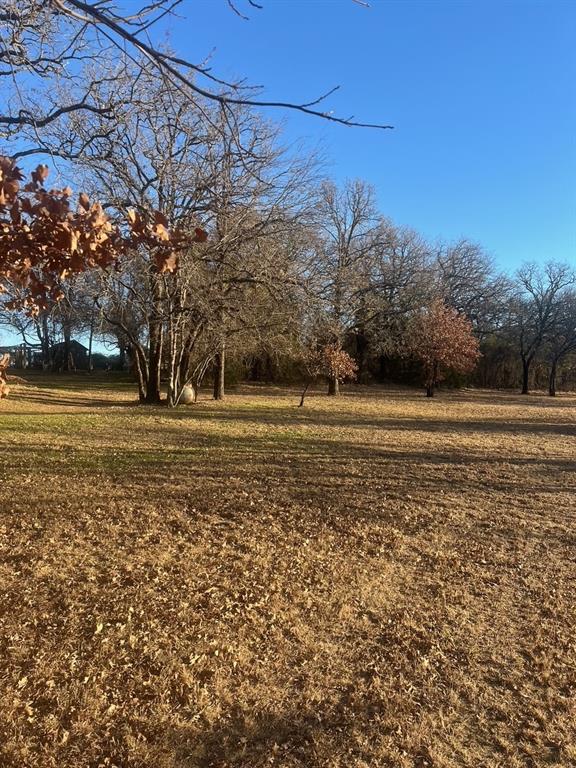 6901 Hawk Road Flower Mound, TX 75022 - Photo 24 of 24 a view of a yard with large trees