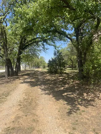 a view of a yard with a tree