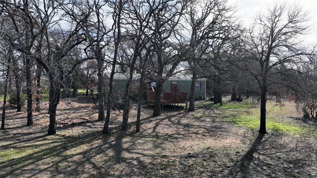 6901 Hawk Road Flower Mound, TX 75022 - Photo 10 of 24 a view of a forest filled with trees