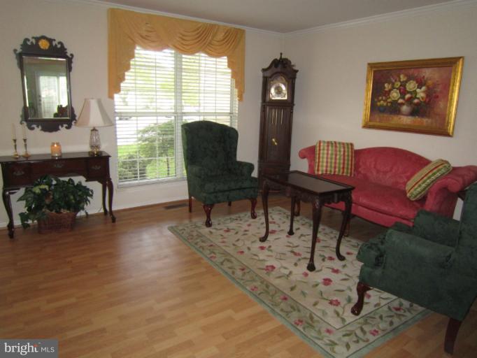 15025 Shamrock Ridge Road Silver Spring, MD 20906 - Photo 1 of 27 Sun-drenched Living Room