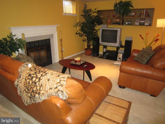 15025 Shamrock Ridge Road Silver Spring, MD 20906 - Photo 9 of 27 Recreation Room