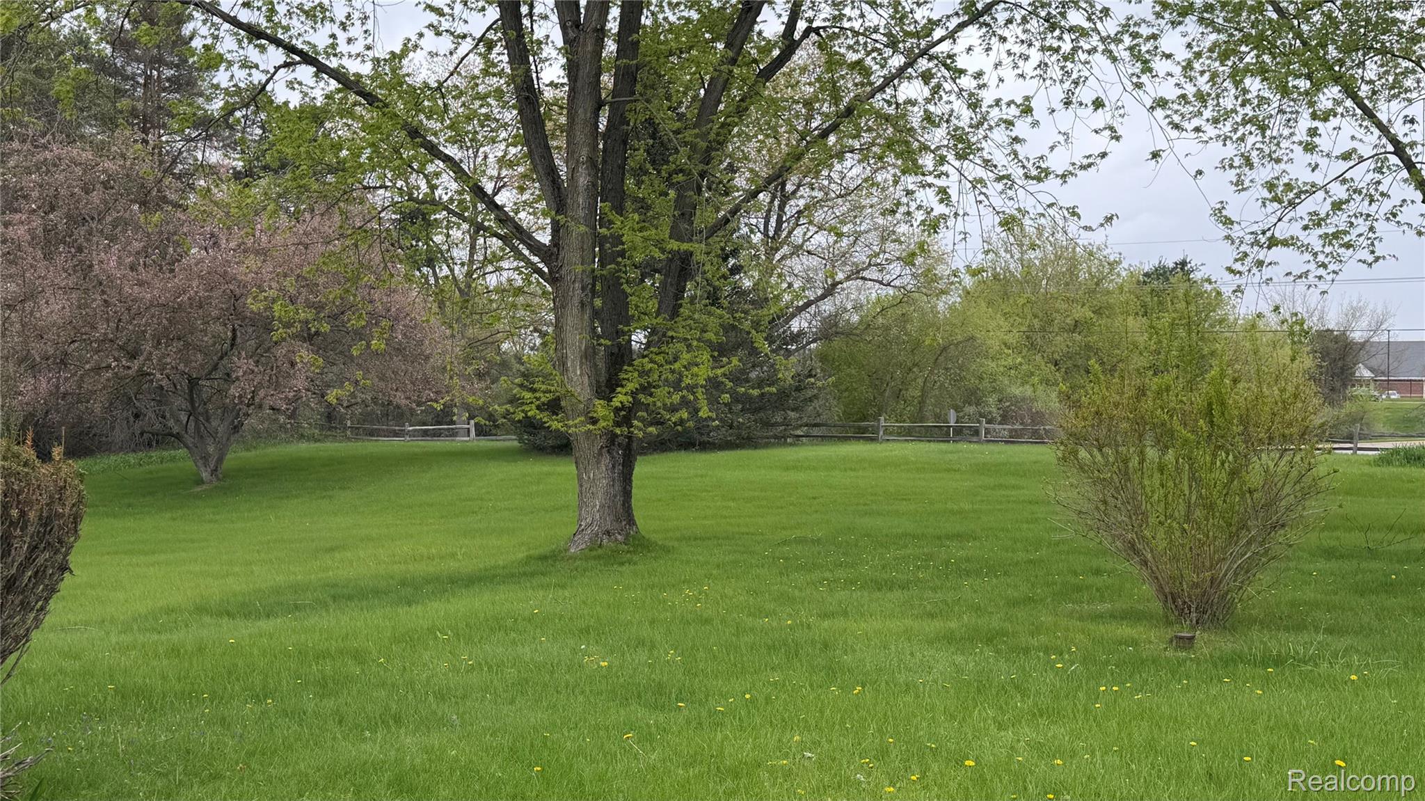 8079 Farley Road Pinckney, MI 48169 - Photo 5 of 43 View of front yard