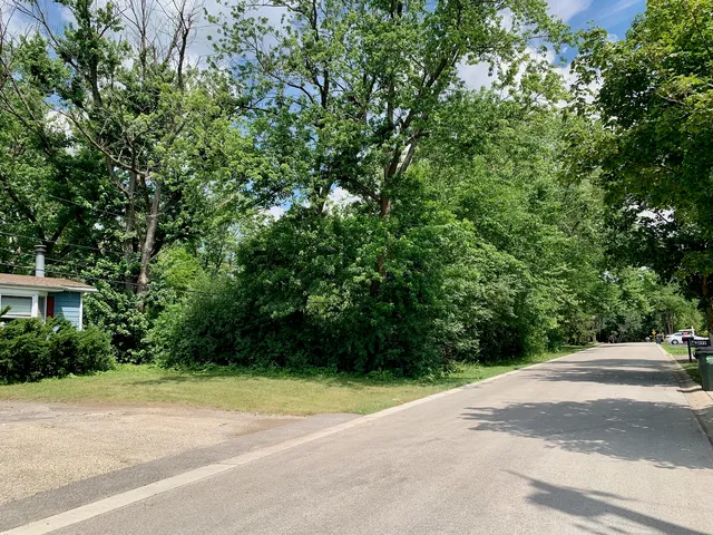 a view of a yard with plants and trees