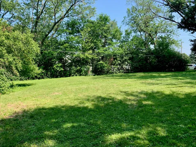 a view of a grassy field with trees in the background