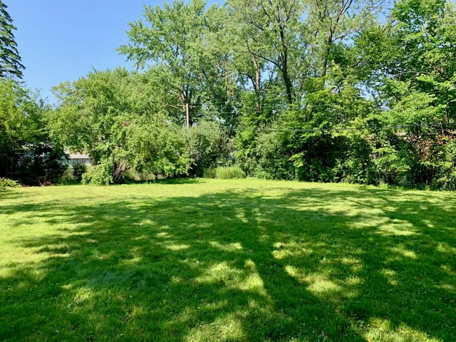 a view of green field with trees in the background
