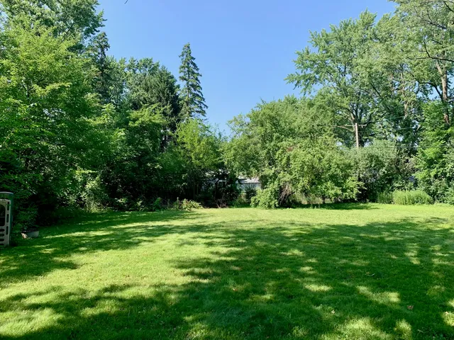 a view of a grassy field with trees in the background