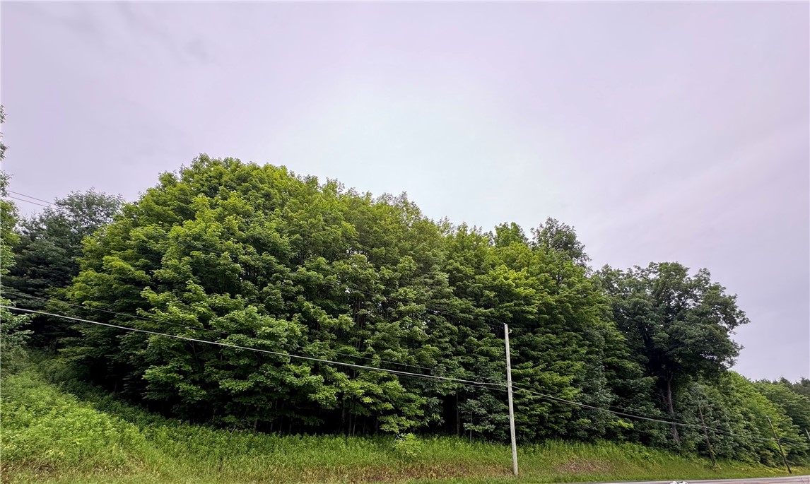 5757 State Highway Oneonta, NY 13820 - Photo 2 of 8 Gallery Image 2