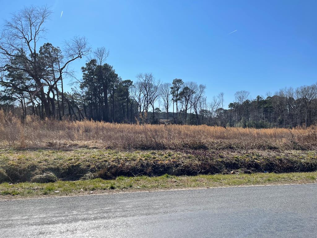 25072 Matthews Road Parksley, VA 23421 - Photo 1 of 2