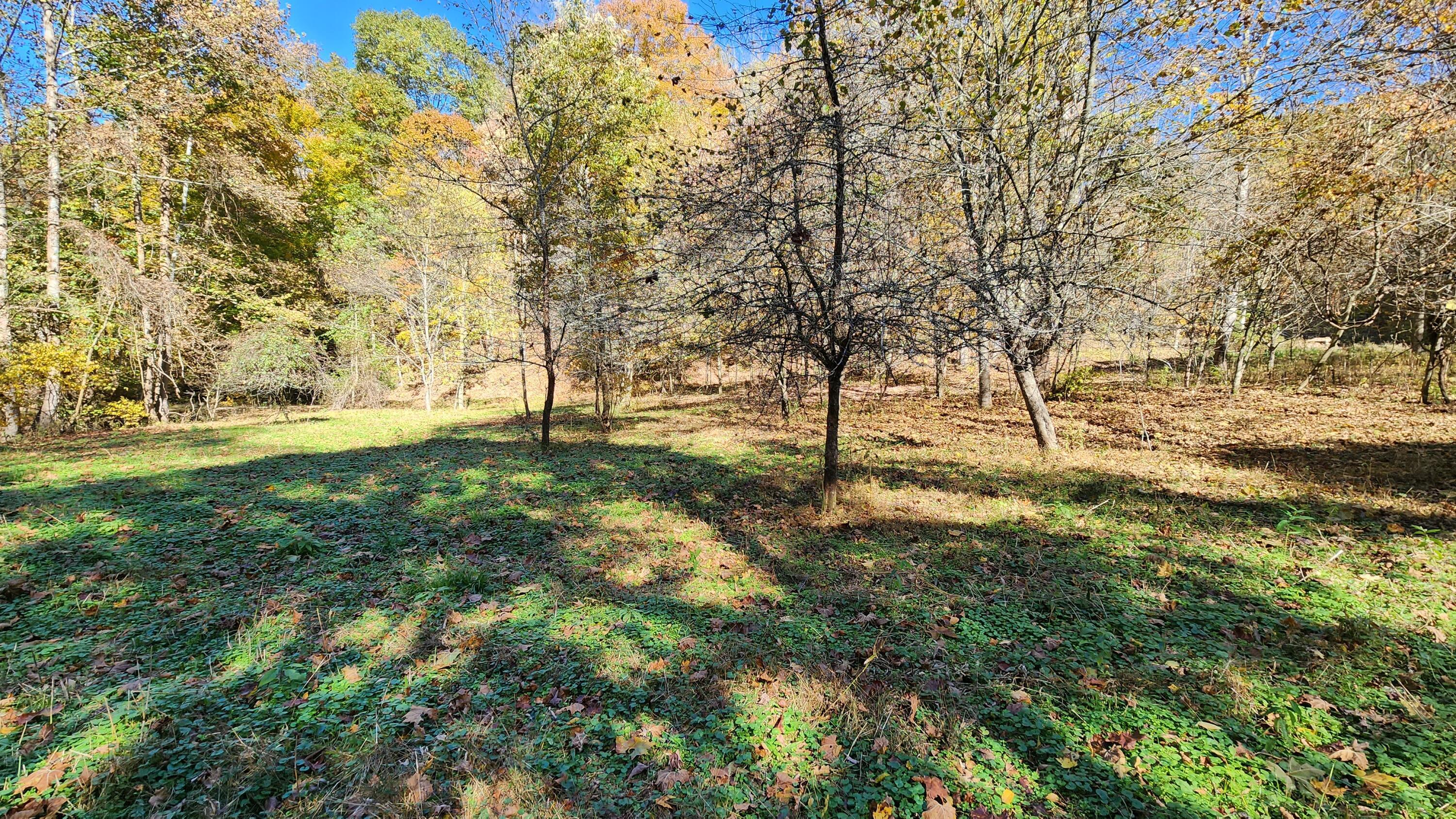 0 Vandergriff Road, Unit TRACT 6) South Bloomingville, OH 43152 - Photo 55 of 59 20231023_141916