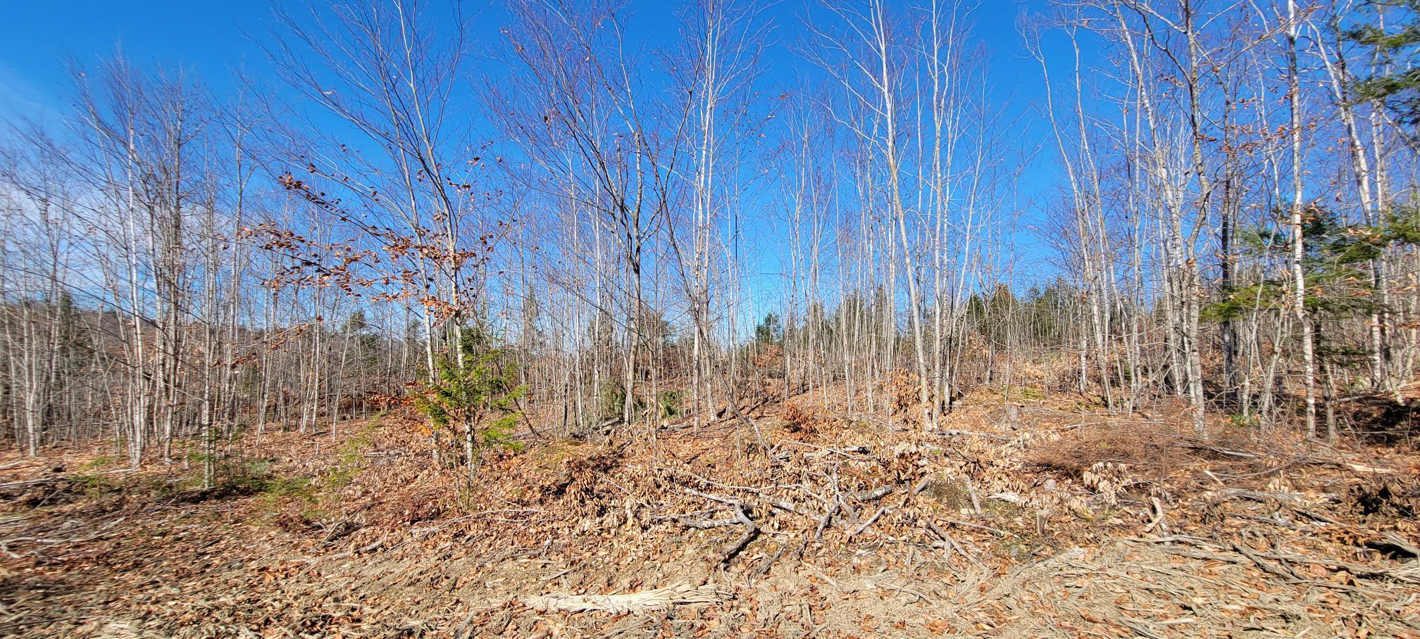 25-22 Back Troy Road Troy, ME 04987 - Photo 24 of 43 Lot 10