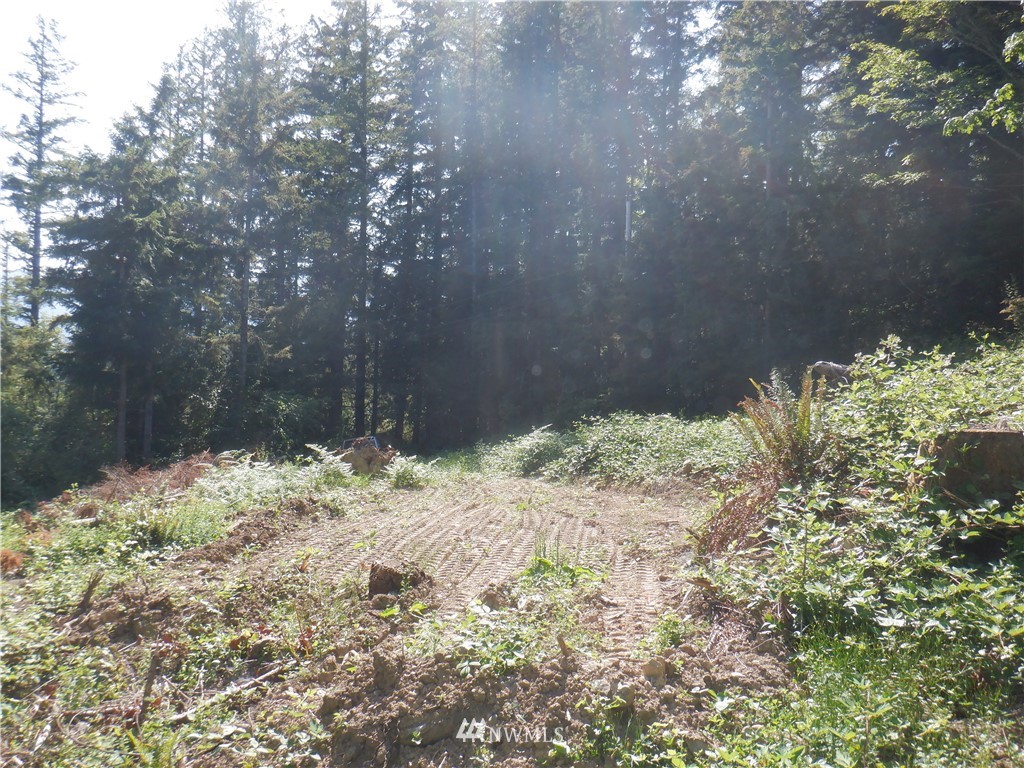 159 Elkhound Pass Road Quilcene, WA 98376 - Photo 11 of 16
