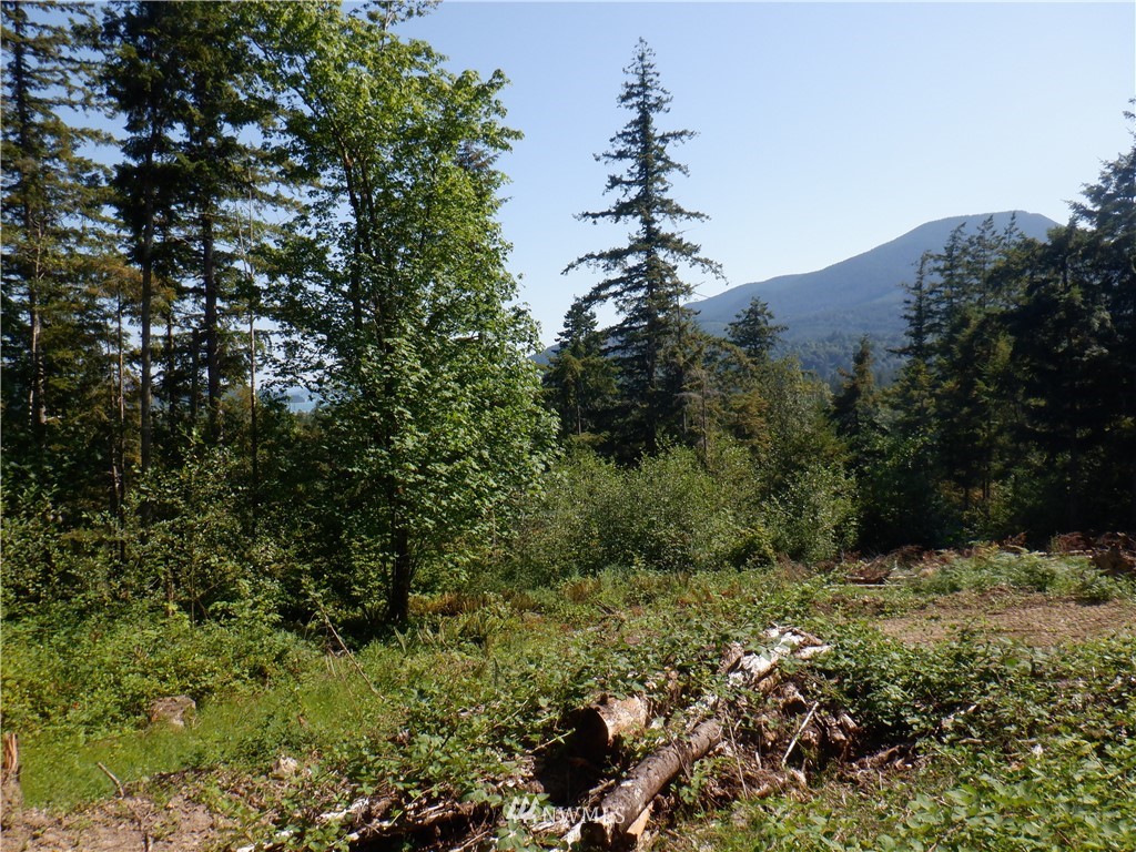 159 Elkhound Pass Road Quilcene, WA 98376 - Photo 12 of 16