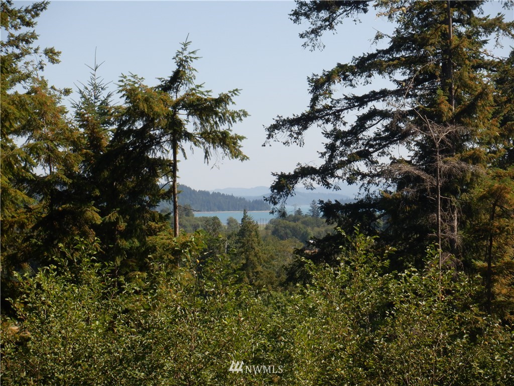 159 Elkhound Pass Road Quilcene, WA 98376 - Photo 13 of 16