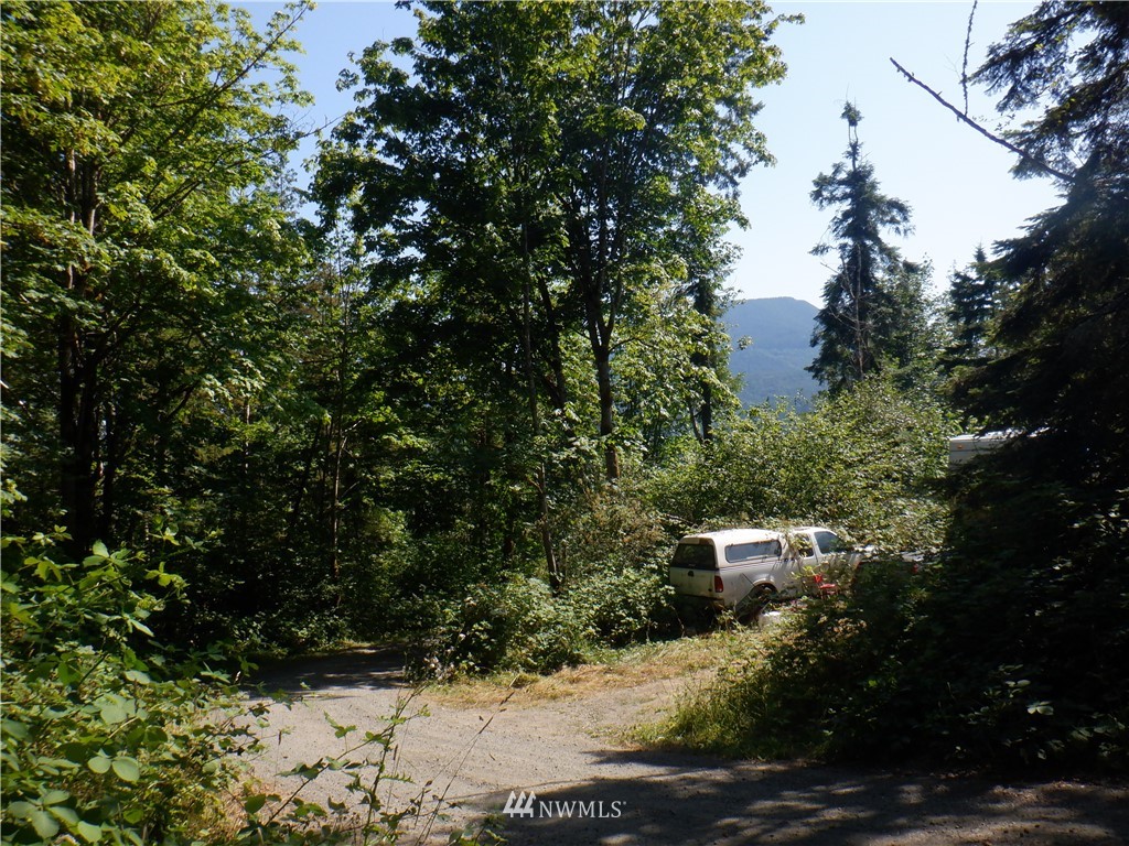 159 Elkhound Pass Road Quilcene, WA 98376 - Photo 14 of 16