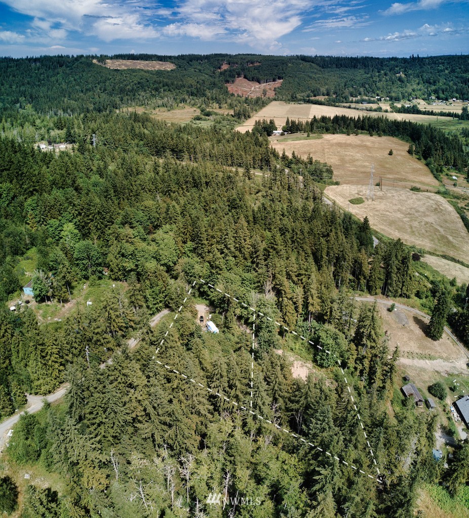 159 Elkhound Pass Road Quilcene, WA 98376 - Photo 4 of 16