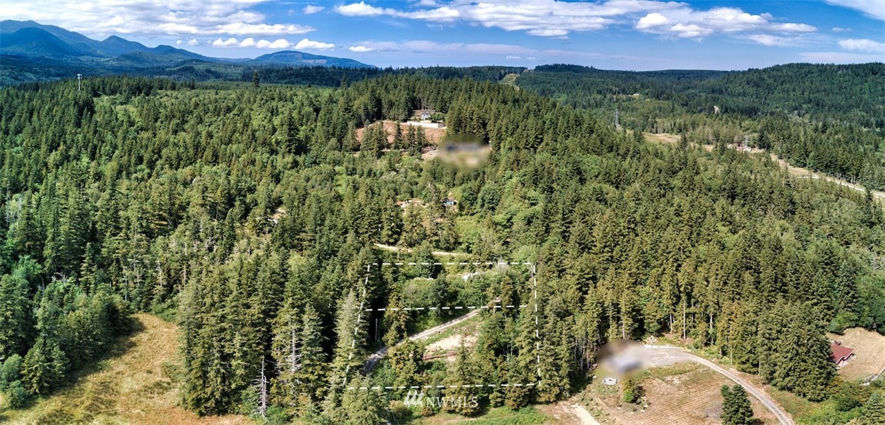 159 Elkhound Pass Road Quilcene, WA 98376 - Photo 5 of 16