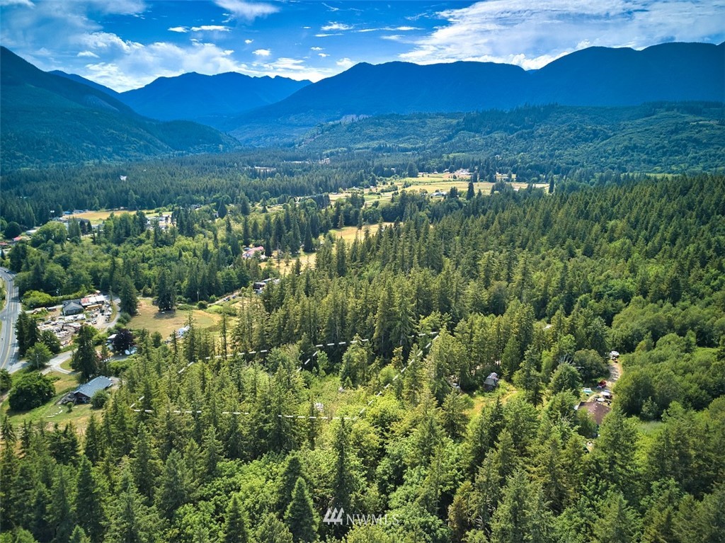 159 Elkhound Pass Road Quilcene, WA 98376 - Photo 6 of 16