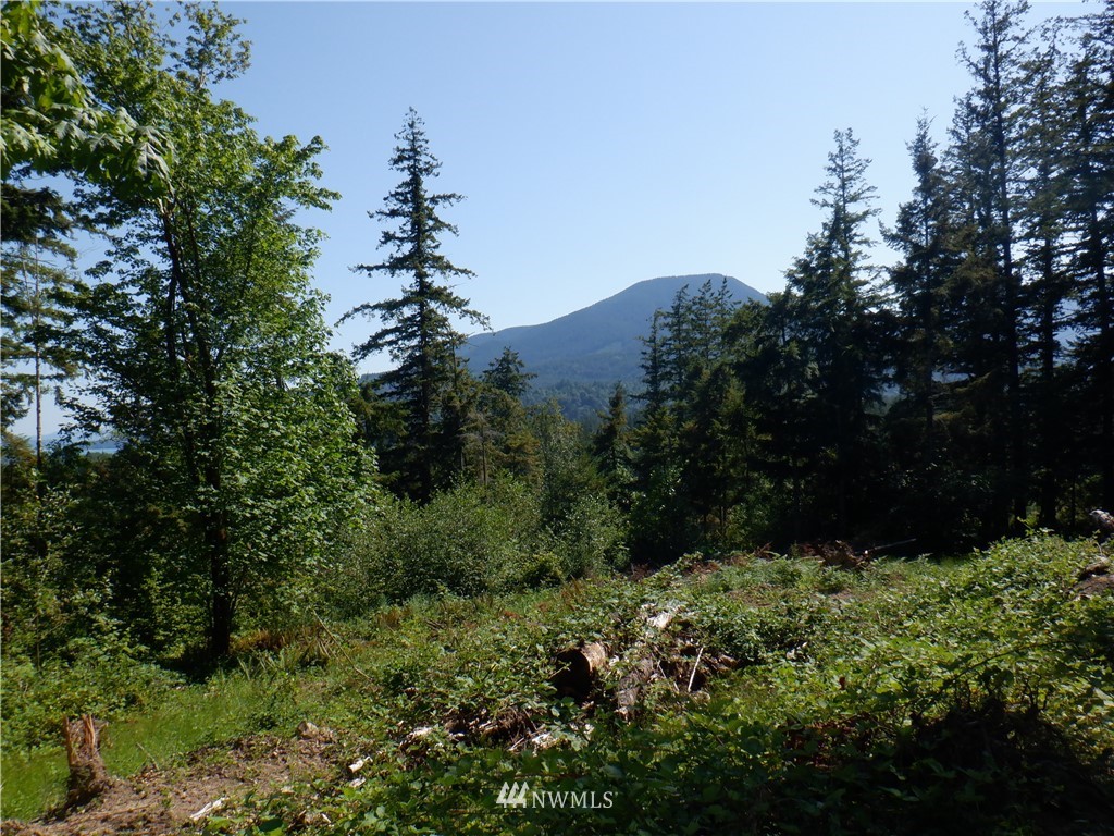 159 Elkhound Pass Road Quilcene, WA 98376 - Photo 8 of 16