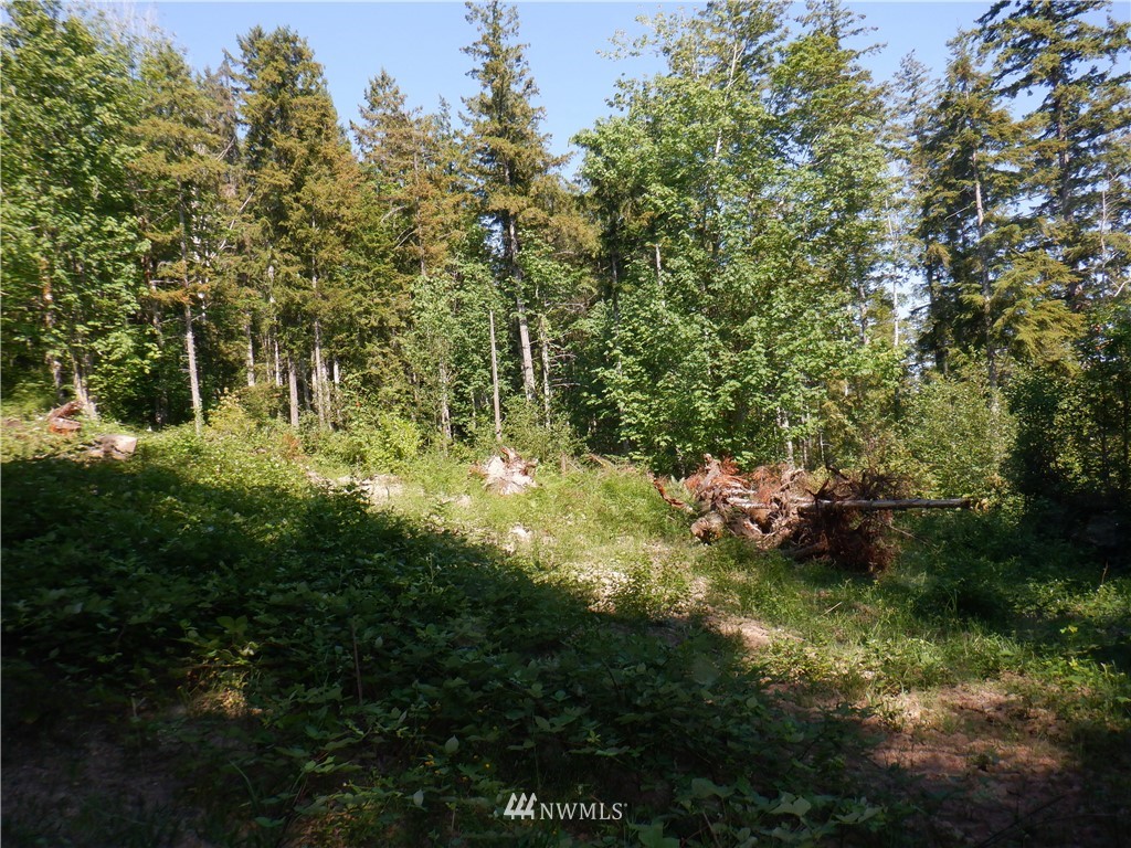 159 Elkhound Pass Road Quilcene, WA 98376 - Photo 9 of 16