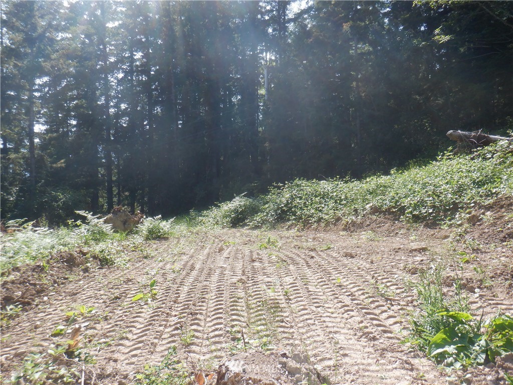 159 Elkhound Pass Road Quilcene, WA 98376 - Photo 10 of 16