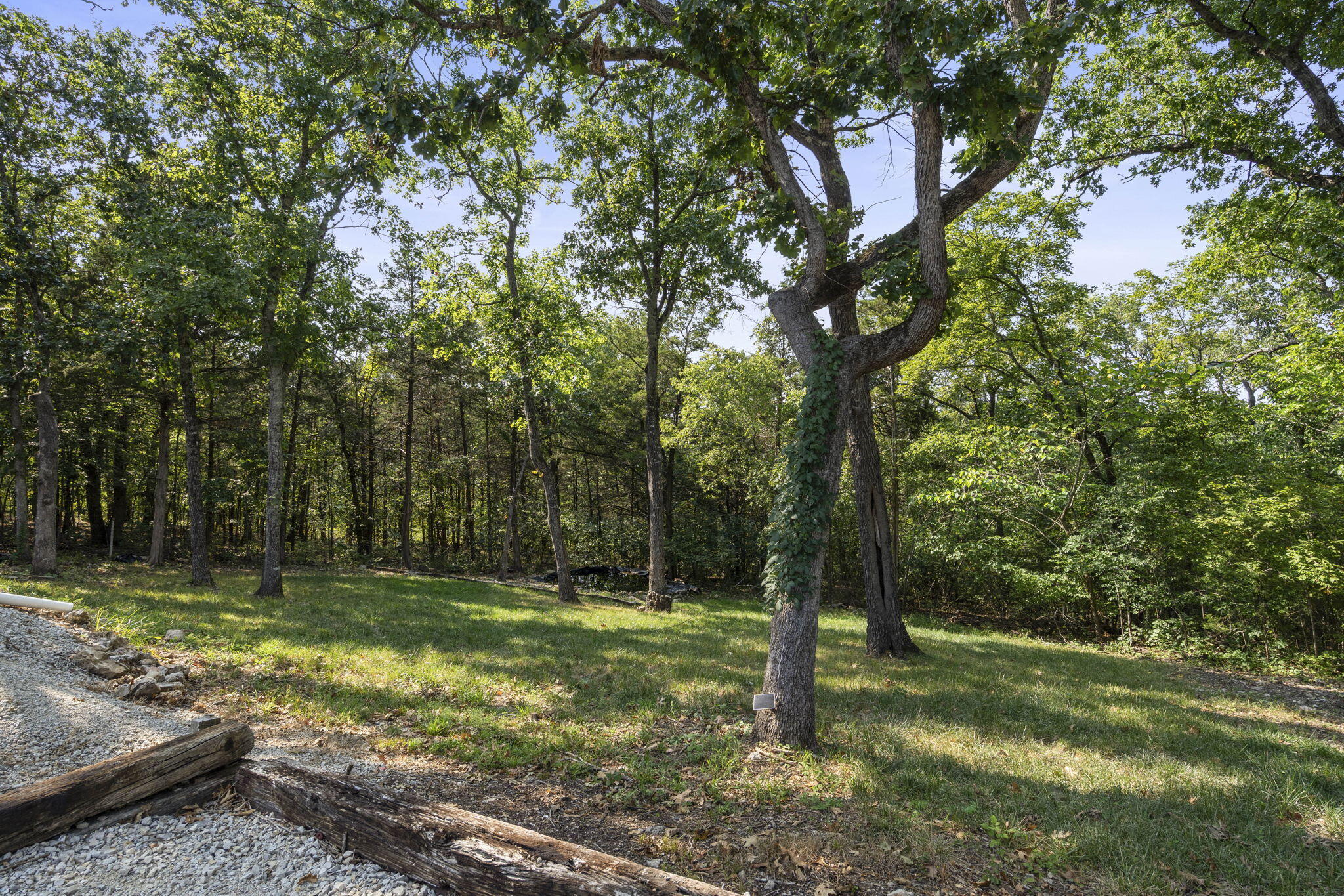 535 Taneycomo Road Branson, MO 65616 - Photo 66 of 73 535 Taneycomo Road (43)