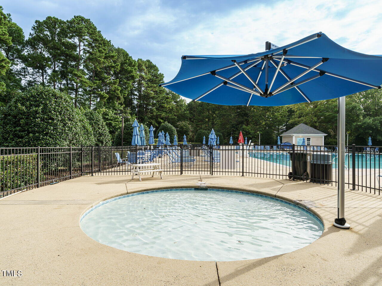 207 Rushing Wind Way Apex, NC 27502 - Photo 35 of 41 038-1280x960-pool