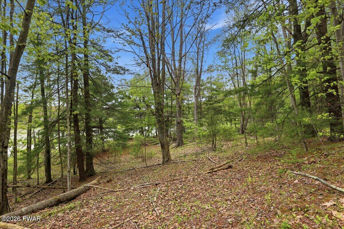 103 Forever Green Road Lakeville, PA 18438 - Photo 33 of 179