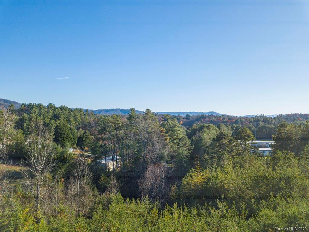 79 Homestead Ridge, Unit 18 Weaverville, NC 28787 - Photo 5 of 6 Gallery Image 5