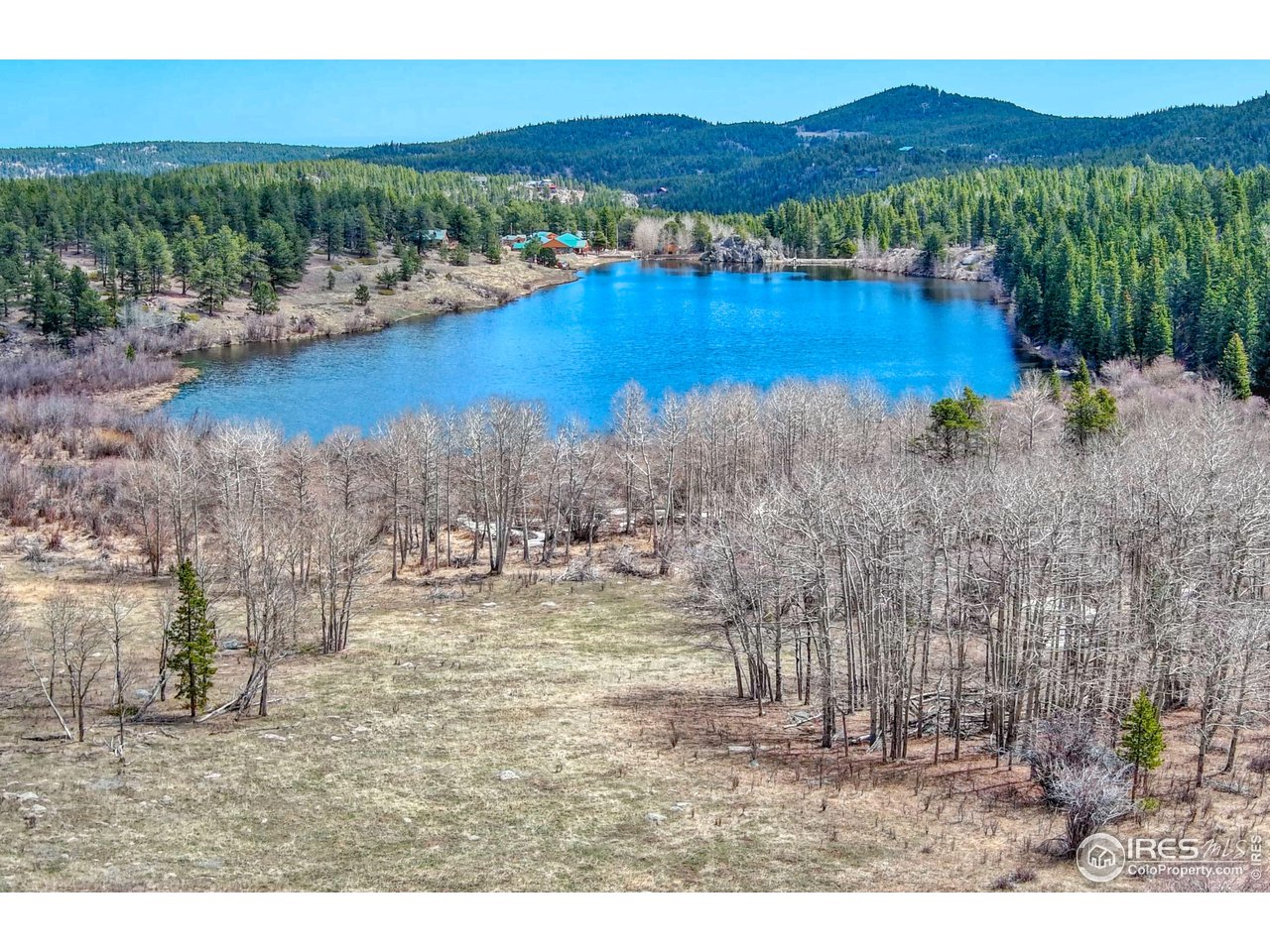 173 County Road 96 Ward, CO 80481 - Photo 14 of 17