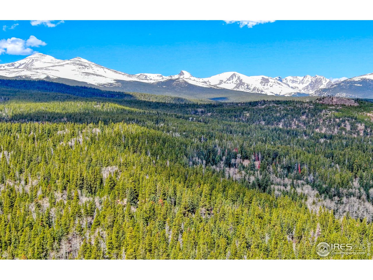 173 County Road 96 Ward, CO 80481 - Photo 16 of 17 Views of the Indian Peaks Wilderness Area